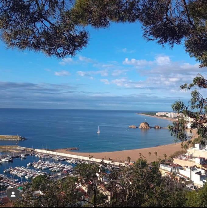 Piso Ideal Para Una Familia Ubicado Cerca Del Mar Blanes Dış mekan fotoğraf